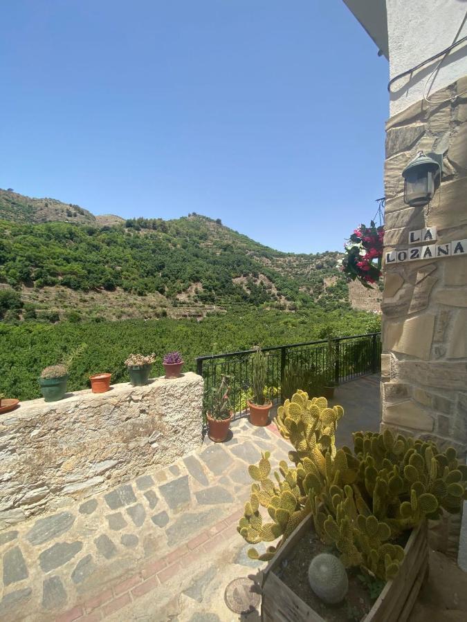 La Lozana - Rio Verde Jete エクステリア 写真